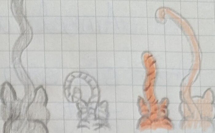 Ashs Bleistiftskizze von vier Katzenschweifen, die durchs Unterholz huschen.