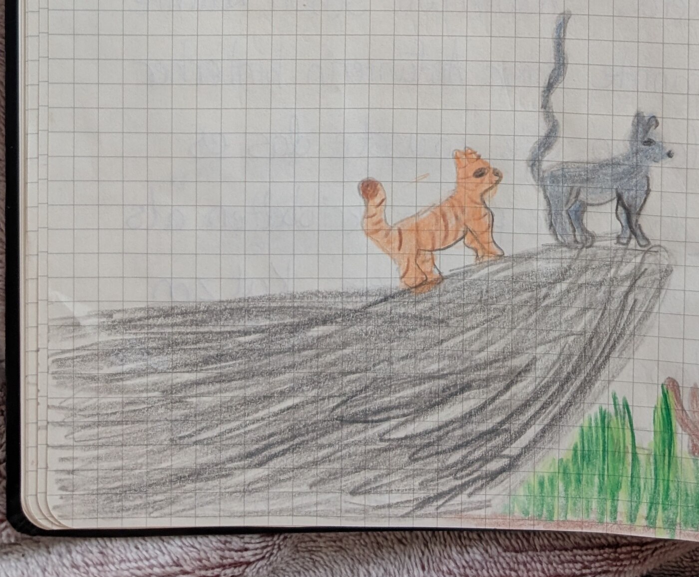 Ashs Zeichnung: zwei Katzen stehen auf dem Hochfelsen und blicken in den Wald, während unten im Gras kleine Tiere warten.