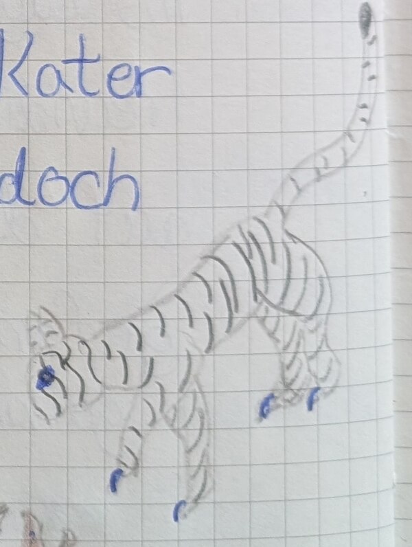 Ashs Bleistiftskizze eines getigerten Kriegers mit blauen Krallen, der zum Sprung ansetzt.