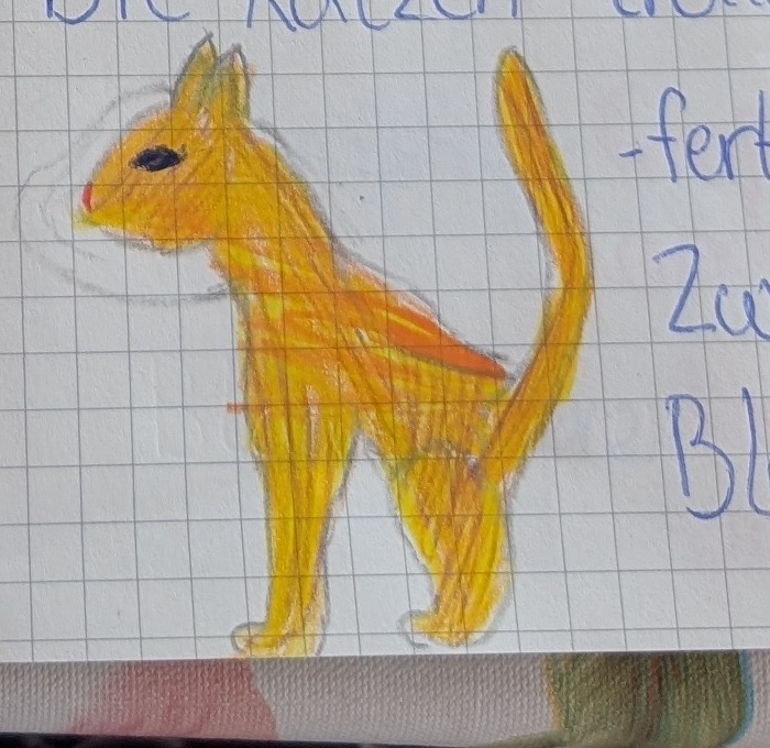 Ashs Farbstiftskizze einer goldenen Katze, die mit hoch aufgerichtetem Schweif steht.